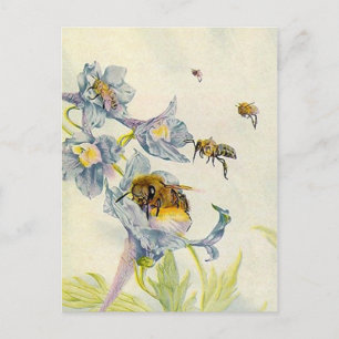 LOVELY HONEYBEES NATURE BEEKEEPERS HONEY POSTCARDS