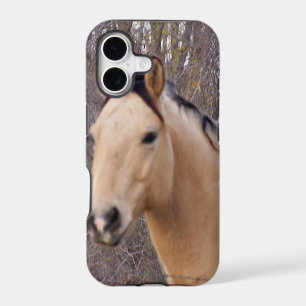 Lovely Horse