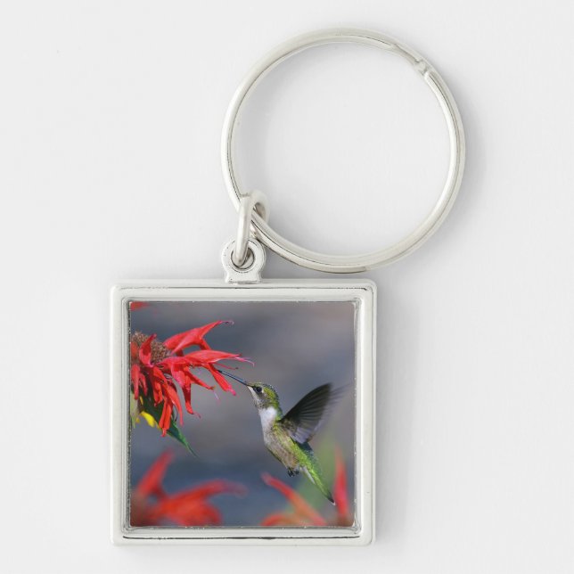 Lovely Hummingbird Key Ring (Front)