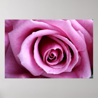 Lovely in lilac poster