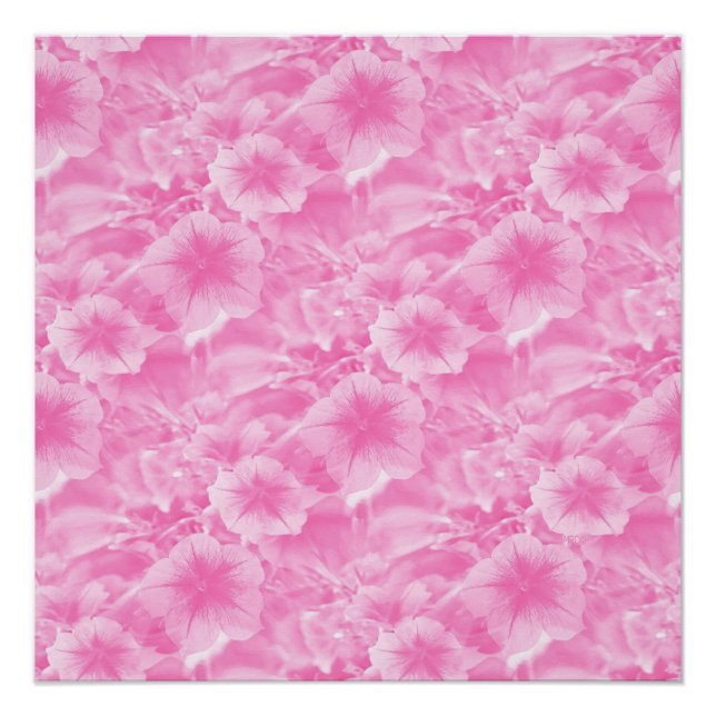Lovely in Pink.. Poster (Front)