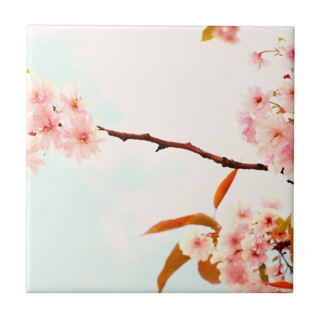 Lovely Japanese cherry blossom Ceramic Tile (Front)