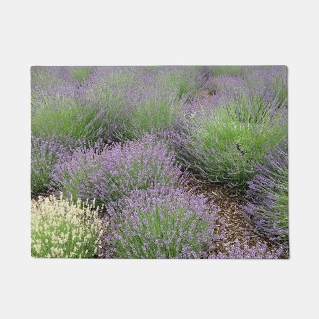 Lovely Lavender Doormat (Front)