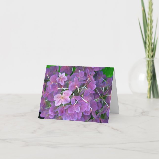Lovely Lavender Hydrangeas Thank You Card (Front)