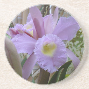 Lovely Lavender Orchid Coaster
