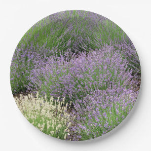 Lovely Lavender Paper Plate