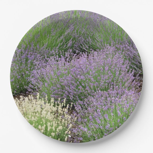 Lovely Lavender Paper Plate (Front)