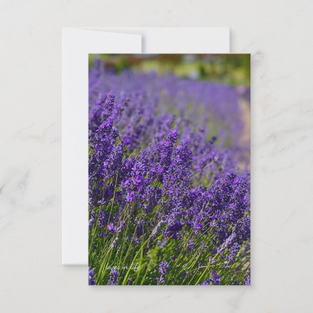 Lovely Lavender Row Card (Front)