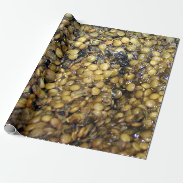 Lovely Lentils!  Wrapping Paper! Wrapping Paper (Unrolled)