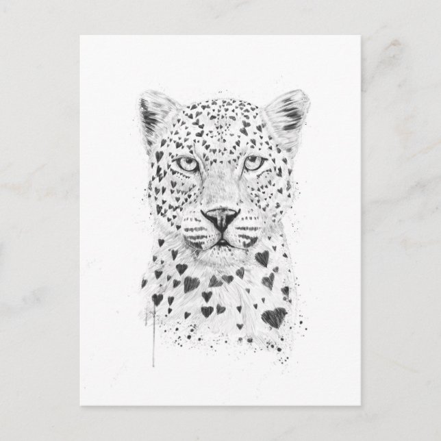 Lovely leopard postcard (Front)
