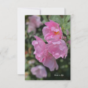 Lovely Light Pink Roses Card