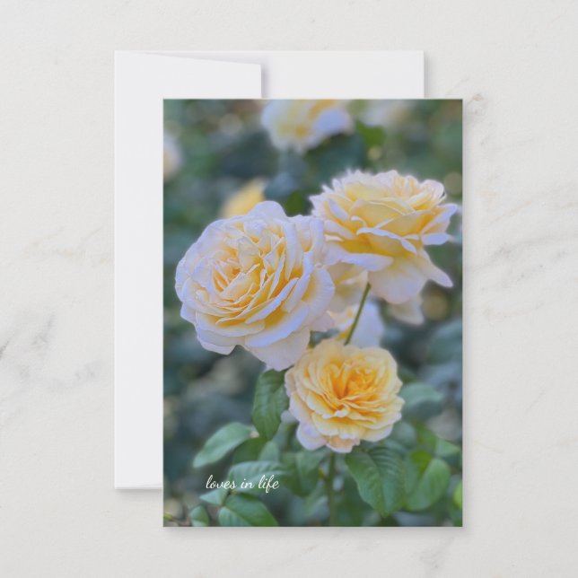 Lovely Light Yellow Roses Card (Front)