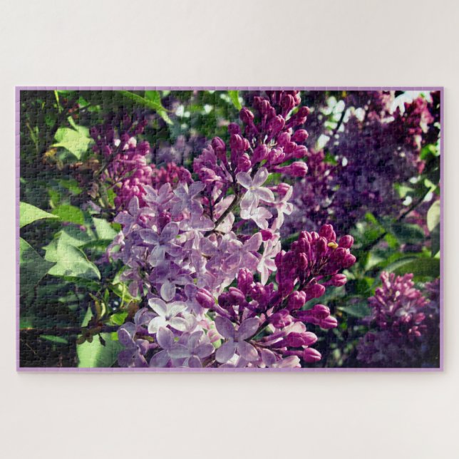 Lovely Lilacs Bloom in Ohio Springtime Jigsaw Puzzle (Horizontal)