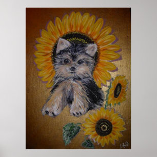 Lovely Little Dog and Sunflowers Poster