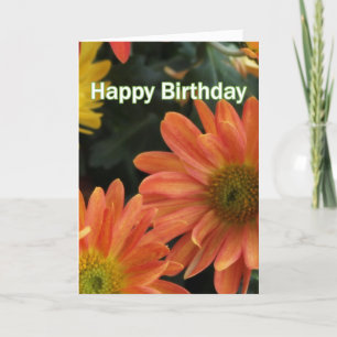 Lovely orange daisy flowers happy birthday card