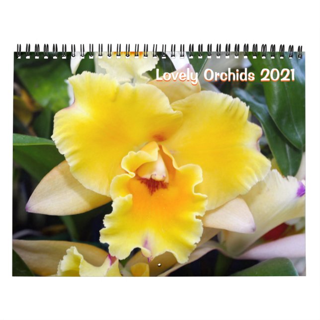 Lovely Orchids 2021 Calendar (Cover)