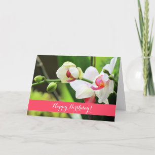 Lovely Orchids Custom Birthday Card