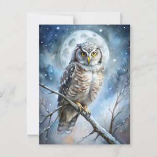 Lovely Owl Postcard