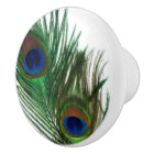 Lovely Peacock Feather