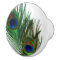 Lovely Peacock Feather