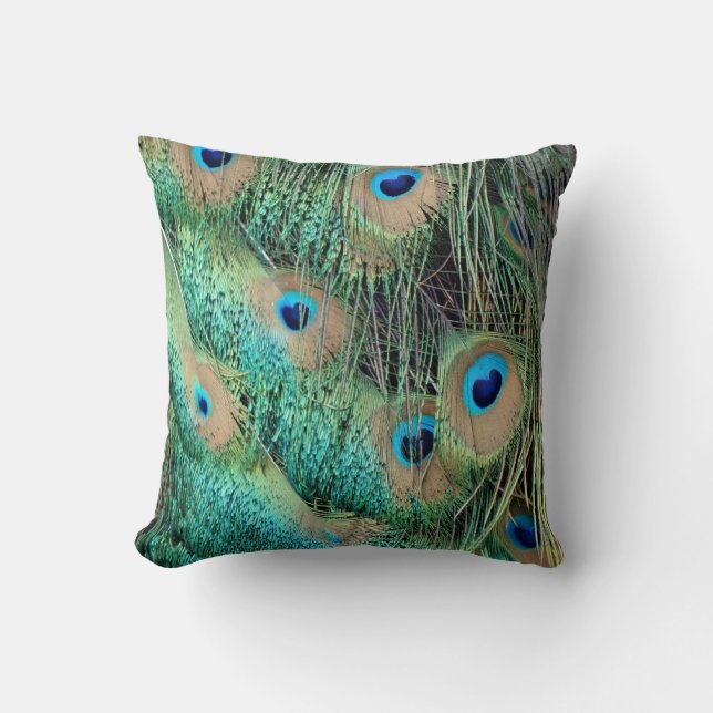 Lovely Peacock Feathers With New Grouch Cushion (Front)