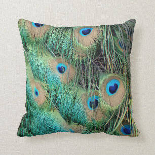 Lovely Peacock Feathers With New Grouch Cushion