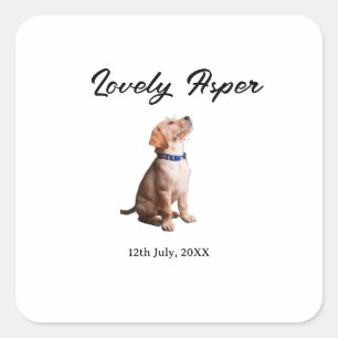 lovely pet name date photo bar drinks on us weddin square sticker