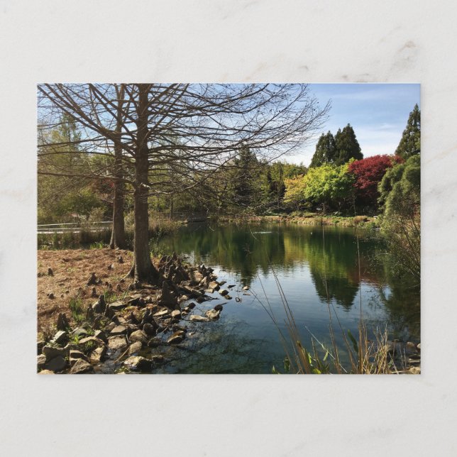 Lovely Photo of a Lake Postcard (Front)