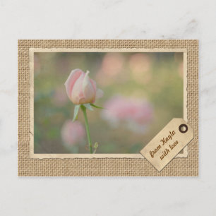 Lovely Pink Autumn Rose Bud Vintage Paper Frame Postcard