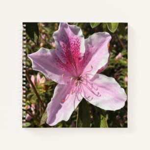 Lovely Pink Azalea Notebook