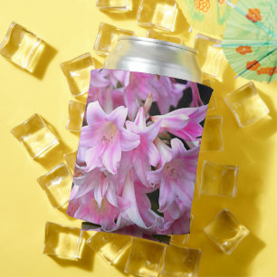Lovely Pink Belladonna Amaryllis Lilies Can Cooler