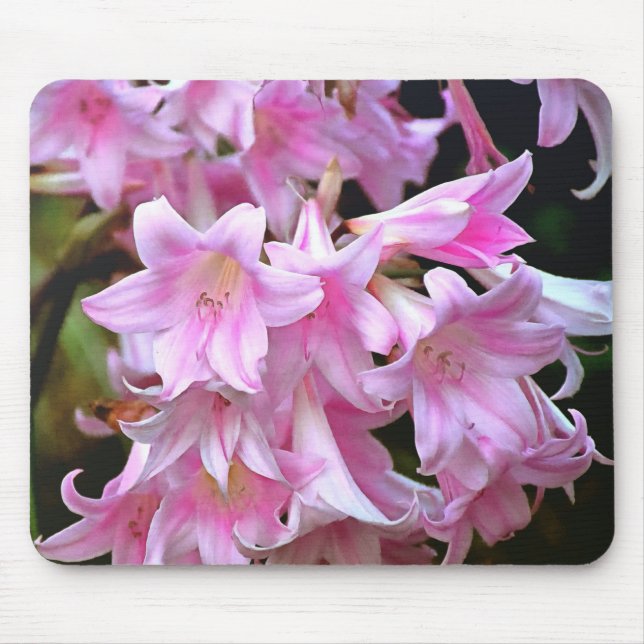 Lovely Pink Belladonna Amaryllis Lilies Mouse Pad (Front)
