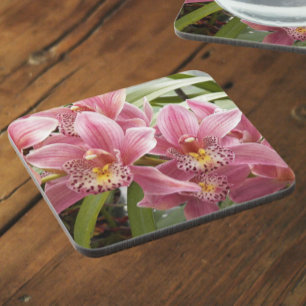 Lovely Pink Cymbidium Orchids Floral Coaster