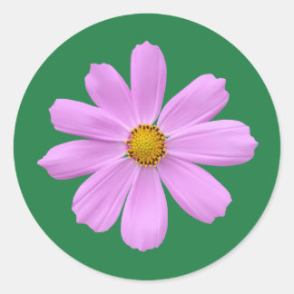 Lovely pink flower classic round sticker