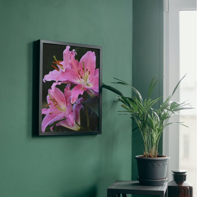 Lovely Pink Lily Blooms Floral Photo Print (In Situ Framed)