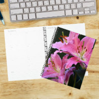 Lovely Pink Lily Blooms Floral