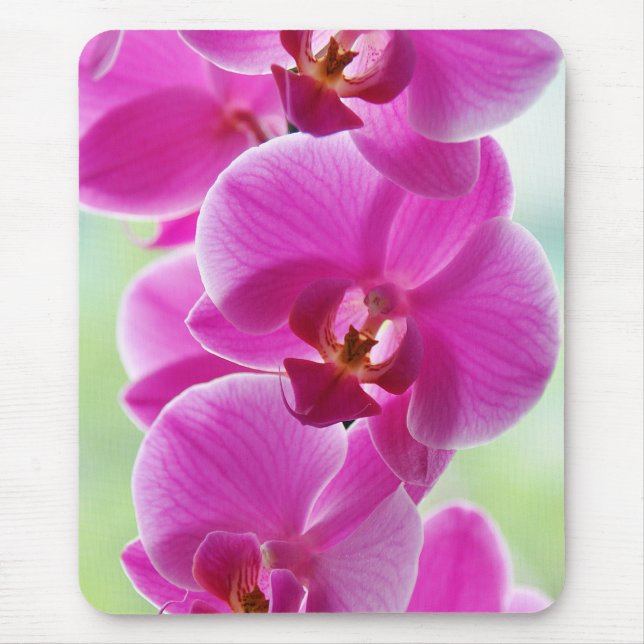 Lovely Pink Orchids Mouse Pad (Front)