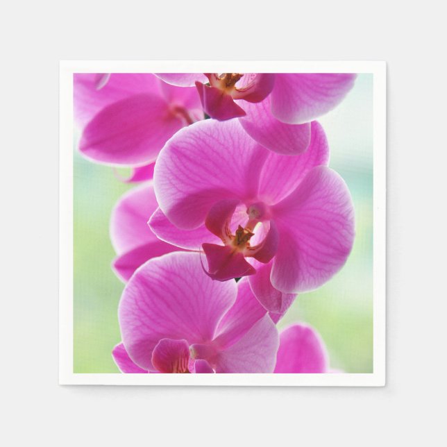 Lovely Pink Orchids Napkin (Front)