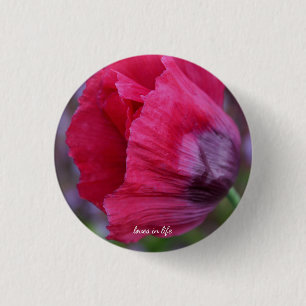 Lovely Pink & Purple Poppy Flower 3 Cm Round Badge