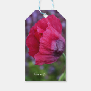 Lovely PInk & Purple Poppy Flower Gift Tags