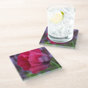 Lovely PInk & Purple Poppy Flower Glass Coaster
