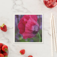Lovely PInk & Purple Poppy Flower