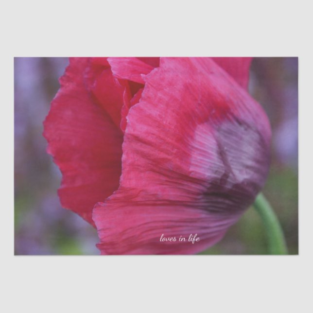 Lovely PInk & Purple Poppy Flower Tissue Paper (Front)