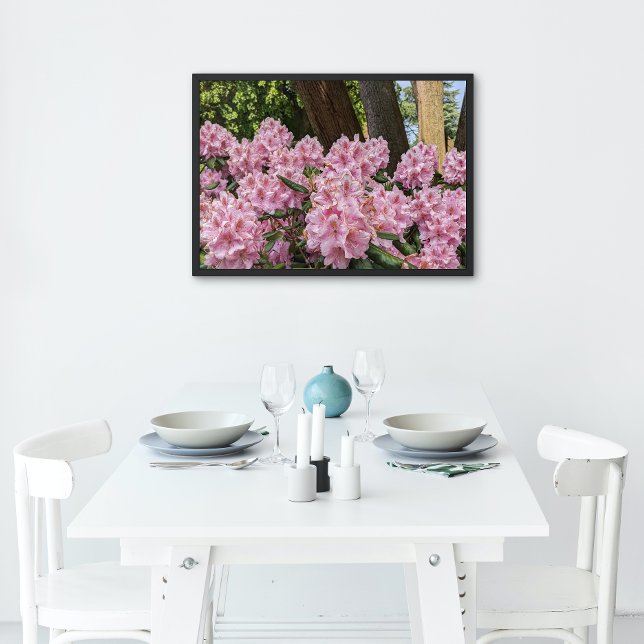 Lovely Pink Rhododendron Blooms Floral Poster (In Situ)