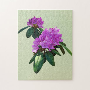 Lovely Pink Rhododendrons Jigsaw Puzzle