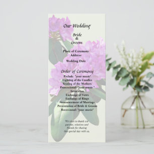 Lovely Pink Rhododendrons Program