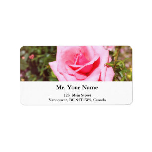 lovely pink rose flower with sweet hearts label