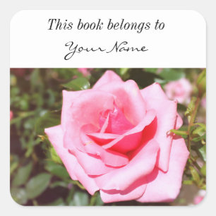 lovely pink rose flower with sweet hearts square sticker