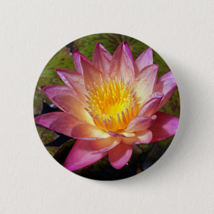 Lovely Pink Water Lily 6 Cm Round Badge
