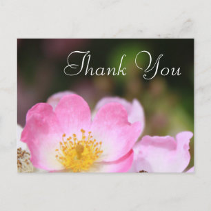 lovely pink wild rose flower wedding thank you postcard